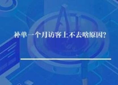 补单一个月访客上不去啥原因？
