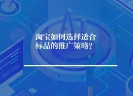 淘宝怎么选适合标品的推广策略？