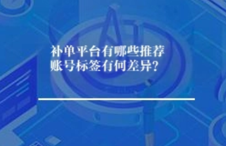 补单平台有哪些推荐账号标签有何差异？